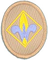Cub Scout Troop 82